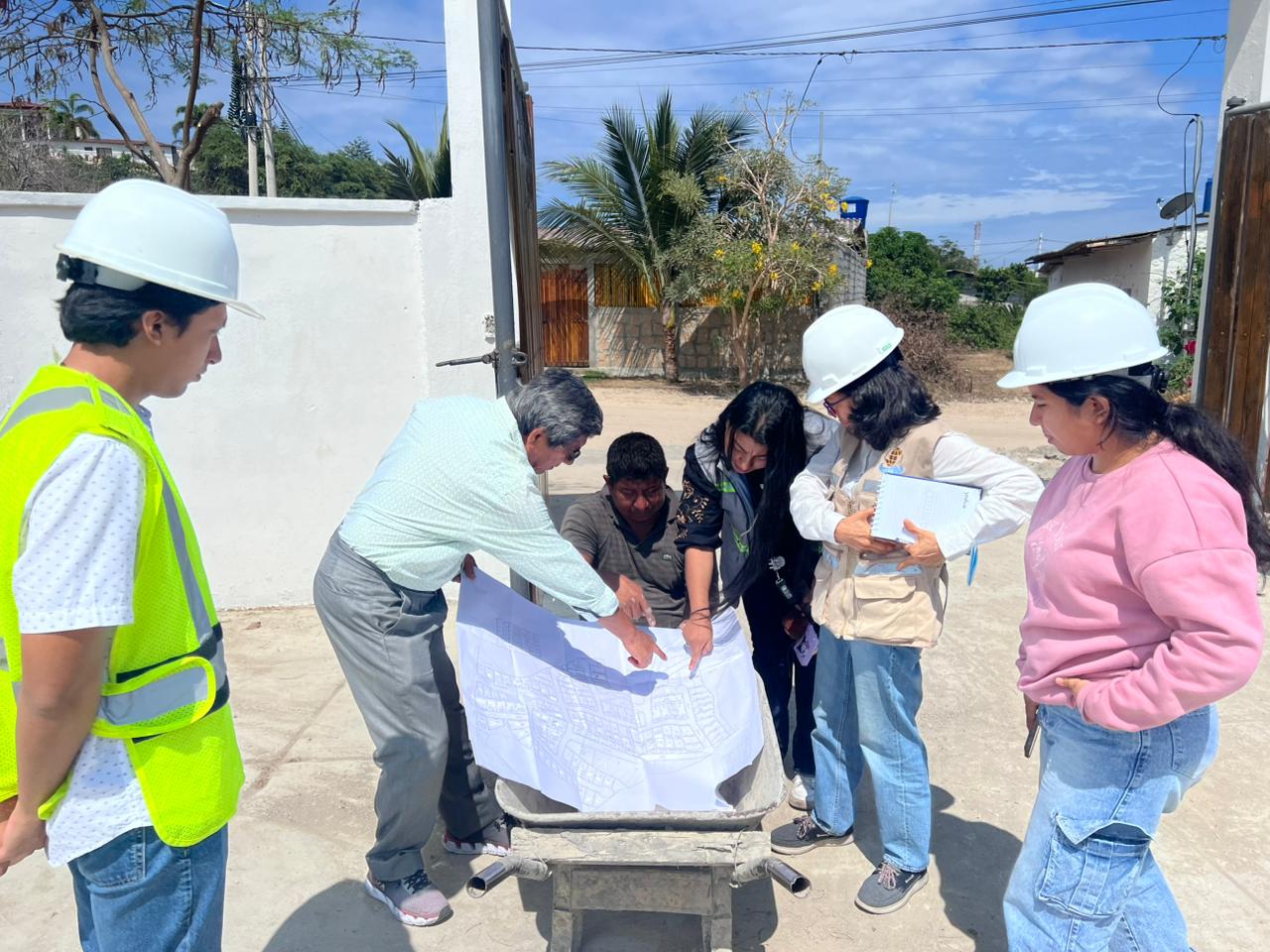 Docente investigadora