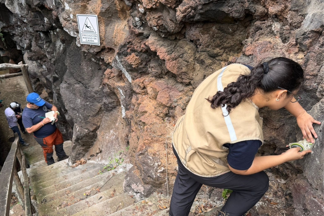 desarrollaron una nueva fase de estudios geomecánicos