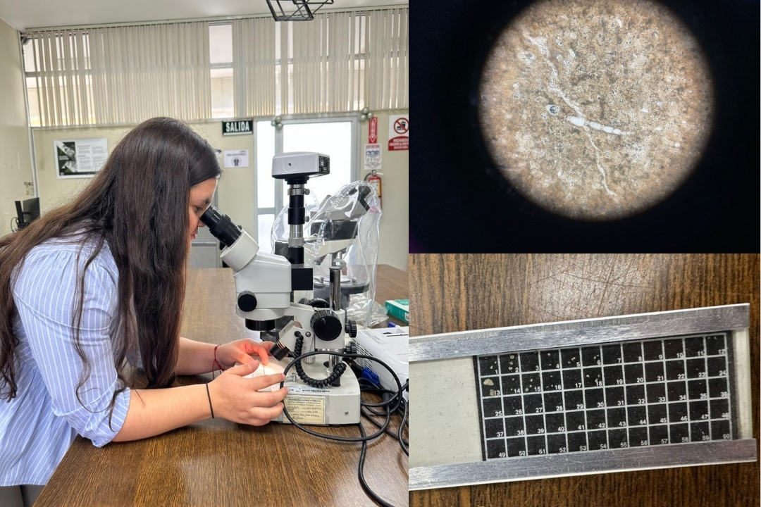 ESPOL investiga el límite K-Pg para fortalecer la geoeducación y conservación