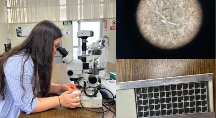 ESPOL investiga el límite K-Pg para fortalecer la geoeducación y conservación